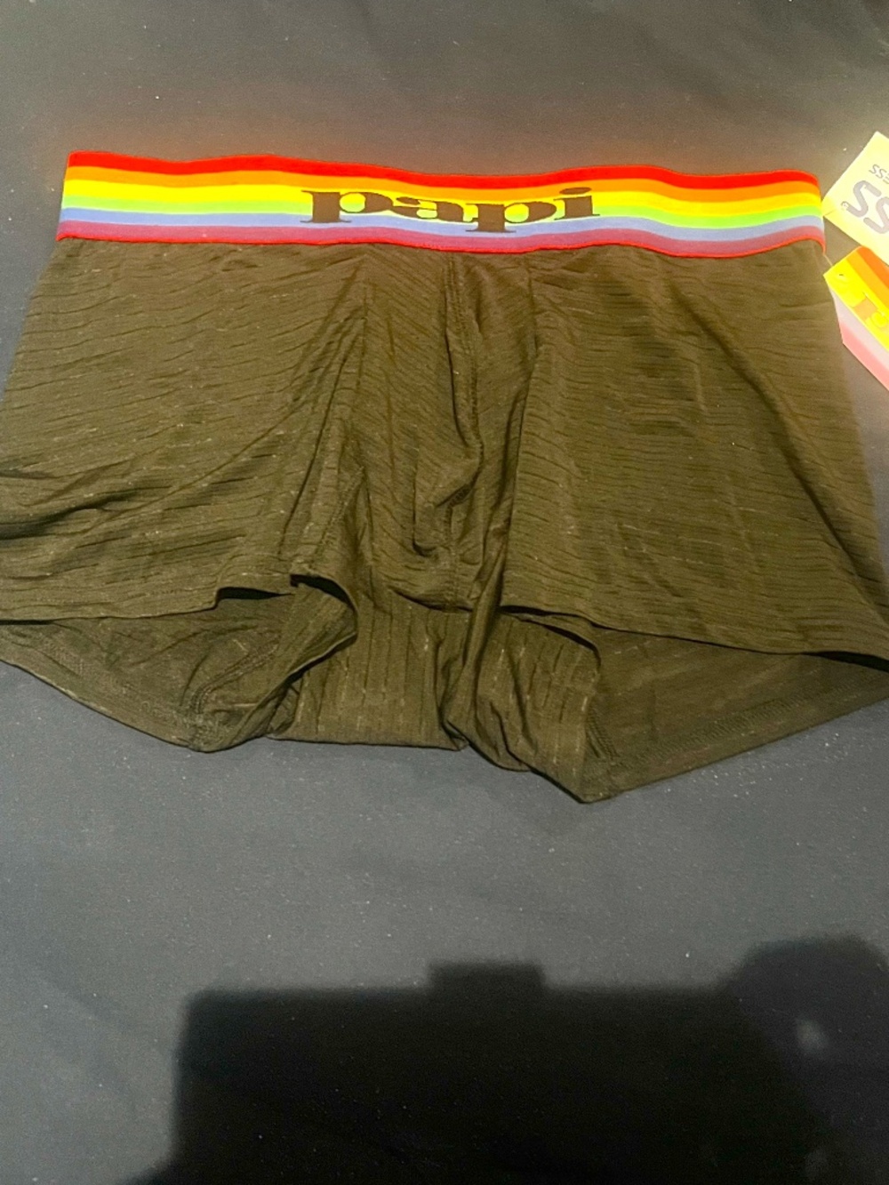 PAPI "Pride" Trunk style brief. LARGE NWT